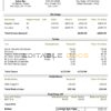 USA personal earning statement template in Word and PDF format