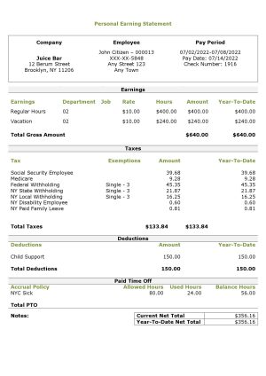 USA Editable Templates 4 USA personal earning statement template in Word and PDF format