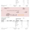 USA software company employee sheet template in Word and PDF format