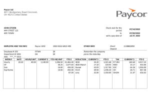 USA Editable Templates 13 USA software technologies company employee sheet template in Word and PDF format