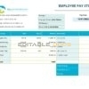 USA Texas commercial cleaning company earnings statement template in Word and PDF format