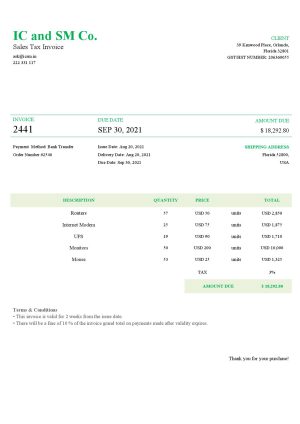USA Editable Templates 2 USA IC and SM Co. invoice template in Word and PDF format, fully editable