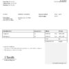 USA Jacobson Ltd invoice template in Word and PDF format, fully editable