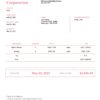 USA Lifeline Corporation invoice template in Word and PDF format, fully editable, version 2
