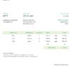 USA MSNG Shipping invoice template in Word and PDF format, fully editable