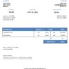 USA Miller Optics invoice template in Word and PDF format, fully editable