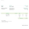 USA Skyler Enterprises invoice template in Word and PDF format, fully editable