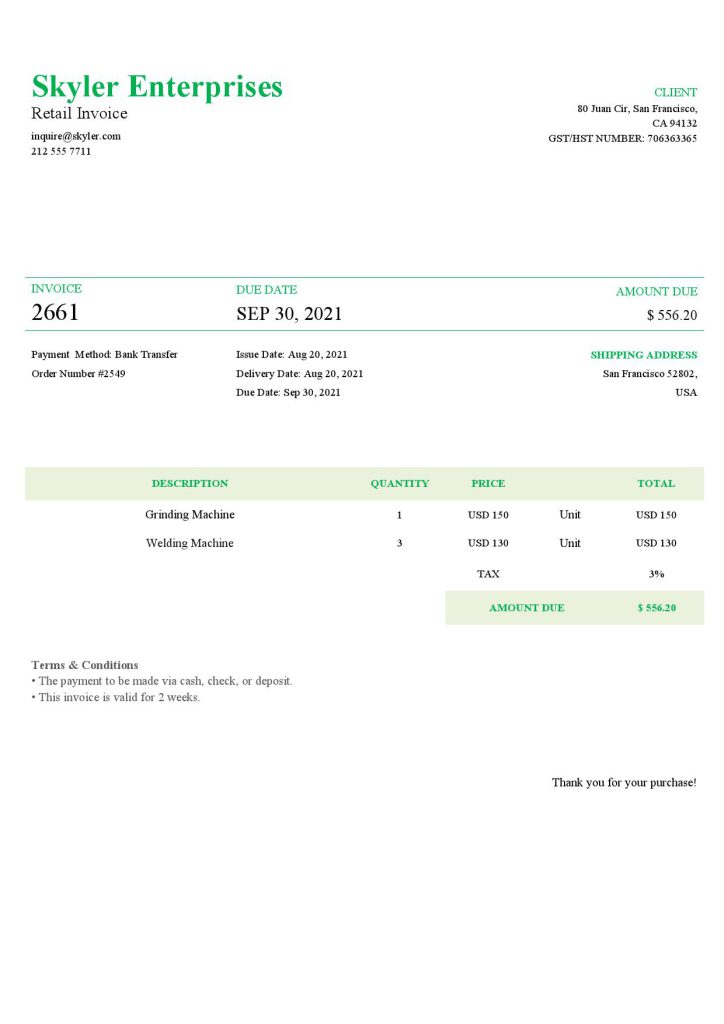 USA Skyler Enterprises invoice template in Word and PDF format, fully editable