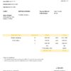 USA Soft Vision Inc. invoice template in Word and PDF format, fully editable