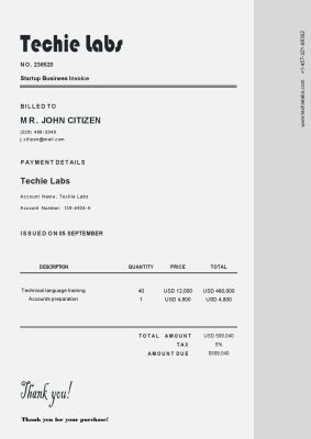 USA Techie Labs invoice template in Word and PDF format, fully editable
