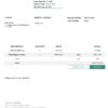 USA Through Harry’s Lens invoice template in Word and PDF format, fully editable