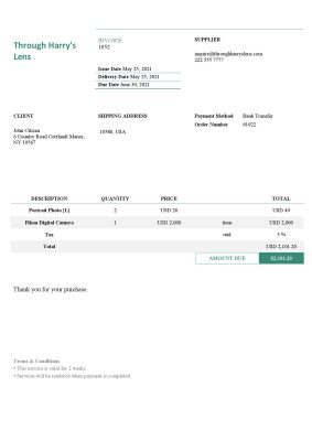 USA Through Harry’s Lens invoice template in Word and PDF format, fully editable