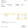 USA Trace Travel Services invoice template in Word and PDF format, fully editable