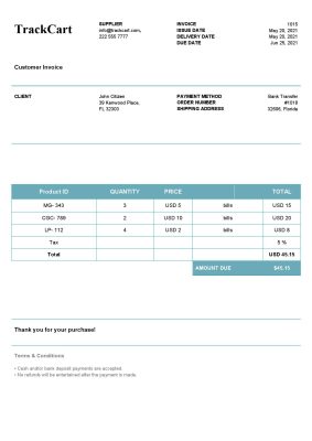 USA TrackCart invoice template in Word and PDF format, fully editable