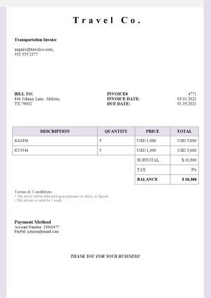 USA Editable Templates 16 USA Travel Co. invoice template in Word and PDF format, fully editable