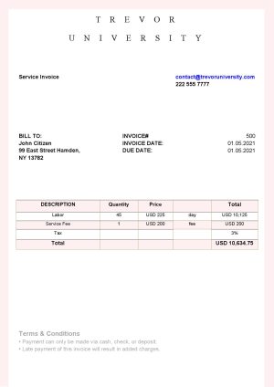 USA Editable Templates 11 USA Trevor University invoice template in Word and PDF format, fully editable