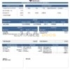 USA Umbrella pharmaceutical company pay stub Word and PDF template