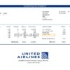 USA United Airlines Holdings airlines company pay stub Word and PDF template