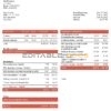 USA Zenefits technology company pay stub Word and PDF template