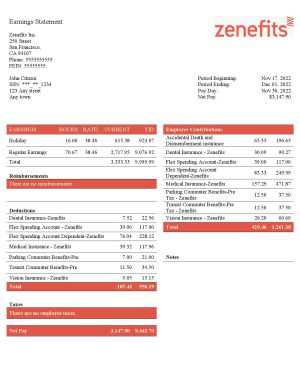 USA Editable Templates 8 USA Zenefits technology company pay stub Word and PDF template