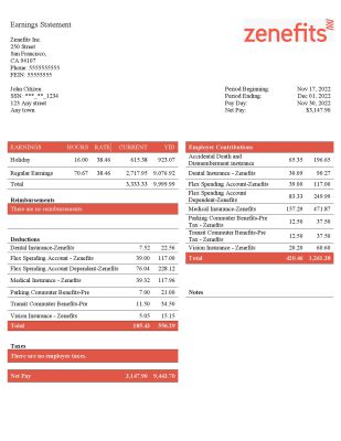 USA Zenefits technology company pay stub Word and PDF template