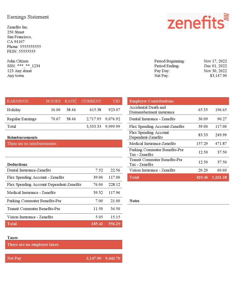 USA Zenefits technology company pay stub Word and PDF template