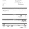 USA Zoom invoice template in Word and PDF (.doc and .pdf) format