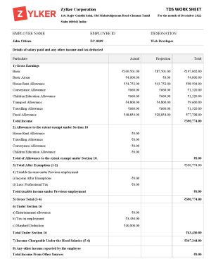 India Editable Docs 3 India Zylker Corporation software company pay stub Word and PDF template