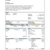 USA Cal State San Marcos payroll services company pay stub Word and PDF template