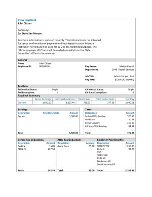 USA Editable Templates 6 USA Cal State San Marcos payroll services company pay stub Word and PDF template