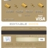 Fillable Albania ProCredit bank visa card debit card Templates | Layer-Based PSD