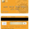 Fillable Albania Tirana bank visa card Templates | Layer-Based PSD