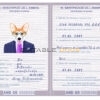 Andorra dog Fake PSD Passport | Instant Download