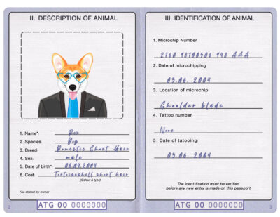 Antigua and Barbuda dog Fake PSD Passport | Instant Download