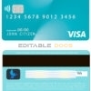 Fillable Argentina BBVA bank visa debit card Templates | Layer-Based PSD