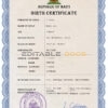 Authentic Haiti Birth Certificate Template | Customize and Download Online