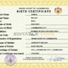 Authentic Luxembourg Birth Certificate Template | Customize and Download Online