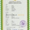 Authentic Sweden Birth Certificate Template | Customize and Download Online