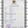 Authentic Uganda Birth Certificate Template | Customize and Download Online