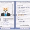 Bahamas dog Fake PSD Passport | Instant Download