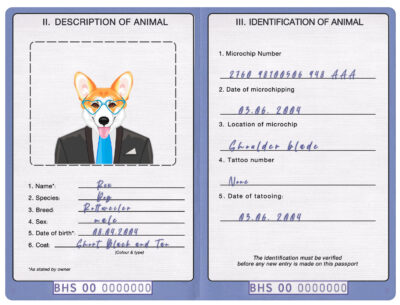 Bahamas dog Fake PSD Passport | Instant Download