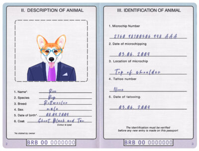 Barbados dog Fake PSD Passport | Instant Download