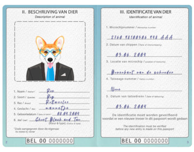 Belgium dog Fake PSD Passport | Instant Download