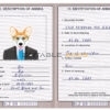 Belize dog Fake PSD Passport | Instant Download