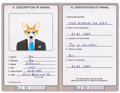 Belize dog Fake PSD Passport | Instant Download