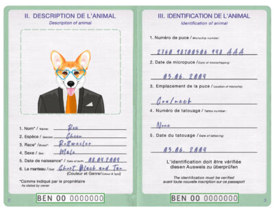Benin dog Fake PSD Passport | Instant Download
