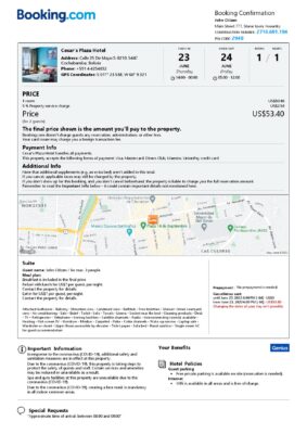 Editable Bolivia Hotel Booking Form Template | Fillable PDF