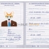 Bolivia dog Fake PSD Passport | Instant Download
