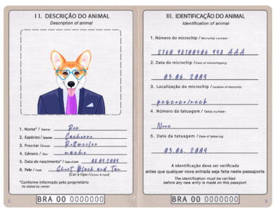 Brazil dog Fake PSD Passport | Instant Download