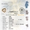Authentic Canada British Columbia Birth Certificate Template | Customize and Download Online